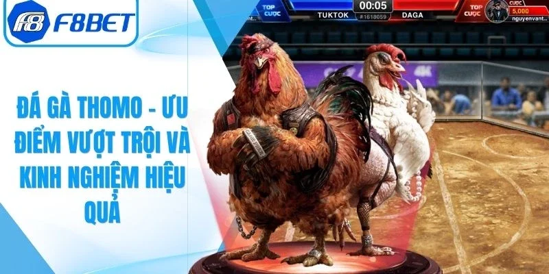 Đá Gà Thomo