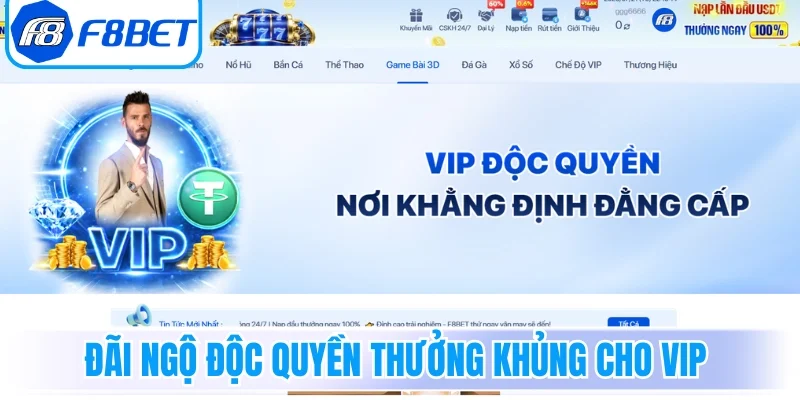 Đãi ngộ độc quyền thưởng khủng dành cho VIP