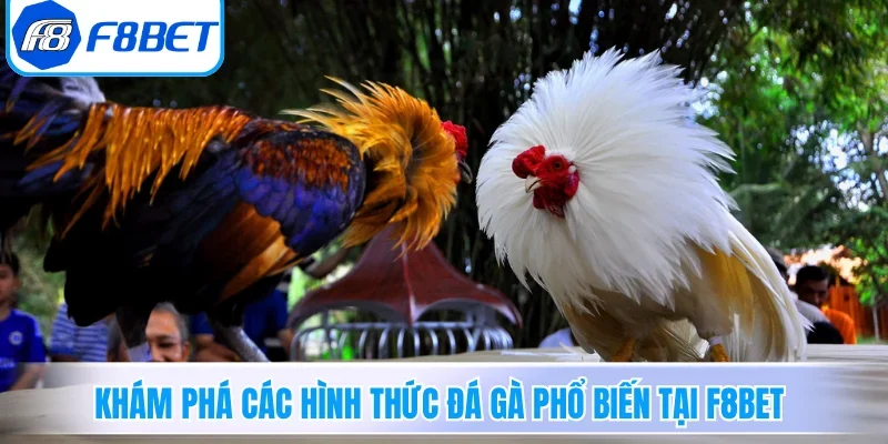 Khám phá các hình thức đá gà phổ biến tại F8BET