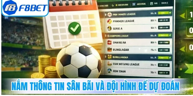 Nắm thông tin sân bãi và đội hình để dự đoán