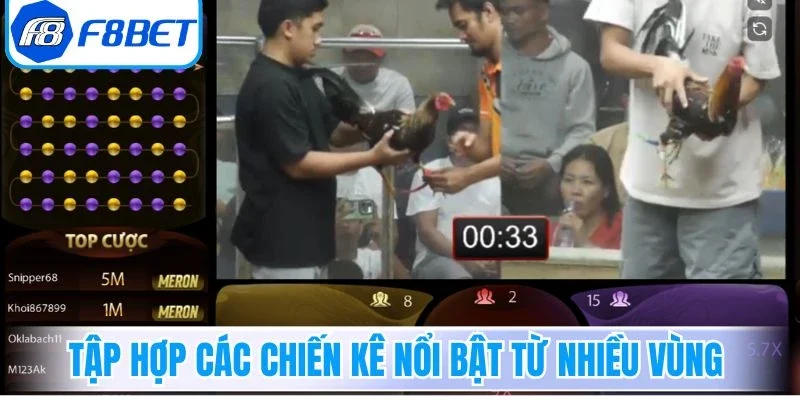 Tập hợp các chiến kê nổi bật từ nhiều vùng