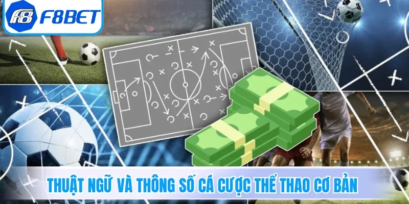 Thuật ngữ và thông số cá cược thể thao cơ bản
