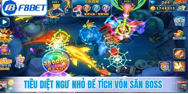 Tiêu diệt ngư nhỏ để tích vốn săn boss